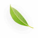 Abs Image 1