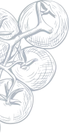Vector 1