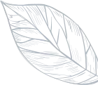 Vector 2