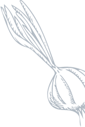 Vector Image 3