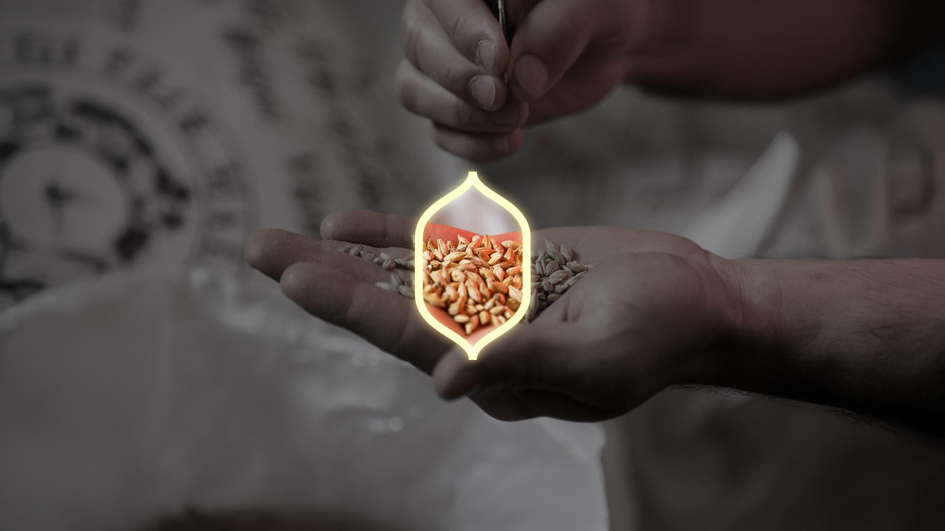 More Selecta Process Step 1