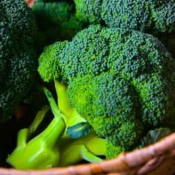 Broccolis